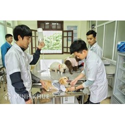 Sản xuất thuốc thú y cần những điều kiện gì?