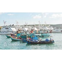 Điều kiện và thủ tục cấp phép cho tổ chức, cá nhân nước ngoài có tàu hoạt động thủy sản trong vùng biển Việt Nam
