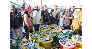 Thẩm quyền và thủ tục xác nhận nguyên liệu, chứng nhận nguồn gốc thủy sản khai thác