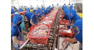 Thẩm quyền và thủ tục xác nhận cam kết nguyên liệu thủy sản nhập khẩu, sản phẩm thủy sản sản xuất từ nguyên liệu thủy sản nhập khẩu