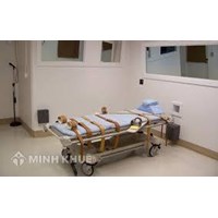 Đặc điểm của hình phạt tử hình? Quy định về việc thi hành án tử hình bằng hình thức tiêm thuốc độc