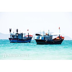 Giám sát an toàn kỹ thuật tàu cá là gì? Thủ tục cấp Giấy chứng nhận an toàn kỹ thuật tàu cá