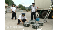 Kiểm dịch động vật, sản phẩm động vật trên cạn nhập khẩu
