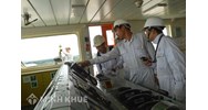 Đăng kiểm viên tàu cá là gì? Tiêu chuẩn và điều kiện cần đáp ứng để trở thành đăng kiểm viên tàu cá