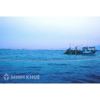 Chức danh và định biên thuyền viên tàu cá theo quy định pháp luật Việt Nam