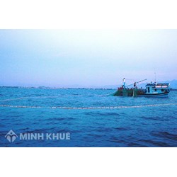 Chức danh và định biên thuyền viên tàu cá theo quy định pháp luật Việt Nam
