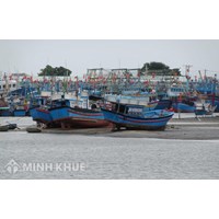 Cảng cá là gì? Quy định pháp luật về thủ tục mở, đóng cảng cá