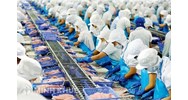 Thủy sản sống là gì? Trình tự, thủ tục cấp Giấy phép nhập khẩu thủy sản sống