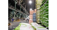 Thủ tục đề nghị cấp Giấy phép nhập khẩu thức ăn chăn nuôi