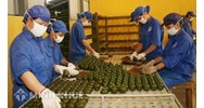 Chế độ BHYT đối với thân nhân của công nhân và viên chức quốc phòng
