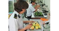 Trình tự và thủ tục cấp Giấy phép kiểm dịch thực vật nhập khẩu