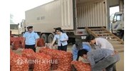Trình tự, thủ tục kiểm dịch thực vật xuất khẩu, quá cảnh