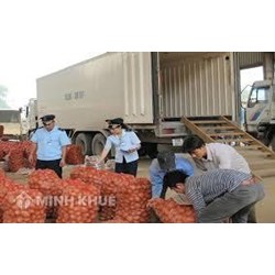 Trình tự, thủ tục kiểm dịch thực vật xuất khẩu, quá cảnh