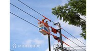 Trình tự, thủ tục cấp giấy phép hoạt động điện lực?