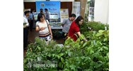 Thủ tục đề nghị cấp Giấy phép xuất khẩu, nhập khẩu giống cây trồng lâm nghiệp