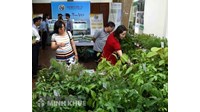 Thủ tục đề nghị cấp Giấy phép xuất khẩu, nhập khẩu giống cây trồng lâm nghiệp