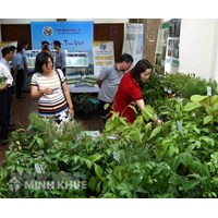 Thủ tục đề nghị cấp Giấy phép xuất khẩu, nhập khẩu giống cây trồng lâm nghiệp