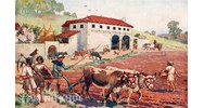 Sự hình thành và phát triển của sở hữu tư nhân trong luật La Mã