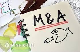 Tìm hiểu thương vụ m&a là gì và tầm quan trọng trong việc đưa ra quyết định đầu tư