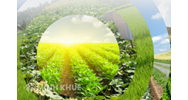 Thủ tục cấp Giấy phép xuất khẩu, nhập khẩu giống cây trồng