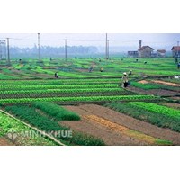 Tài nguyên thiên nhiên là gì? Thuộc tính và cách thức phân loại
