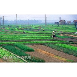 Tài nguyên thiên nhiên là gì? Thuộc tính và cách thức phân loại