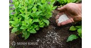 Quy định pháp luật về quản lý chất lượng, tên, nhãn và quảng cáo phân bón