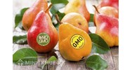 Điều kiện và thủ tục cấp Giấy chứng nhận an toàn sinh học
