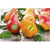 Điều kiện và thủ tục cấp Giấy chứng nhận an toàn sinh học