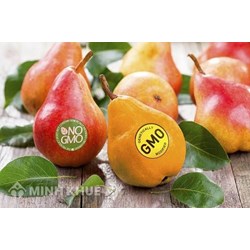 Điều kiện và thủ tục cấp Giấy chứng nhận an toàn sinh học