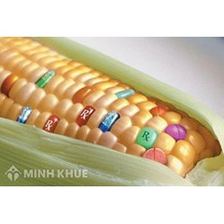 Tìm hiểu chức năng, nhiệm vụ của Hội đồng an toàn thực phẩm, thức ăn chăn nuôi biến đổi gen