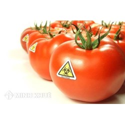 Thủ tục đề nghị cấp lại Giấy xác nhận sinh vật biến đổi gen đủ điều kiện làm thực phẩm, thức ăn chăn nuôi