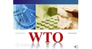Tổng quan về khung pháp lý của WTO quan cá khía cạnh về thuế và nông nghiệp