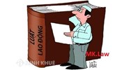 Tư vấn về hợp đồng thực tập của một nhóm học sinh do hiệu trưởng ký ?
