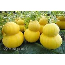 Bảo hộ kiểu dáng công nghiệp thực hiện như thế nào?