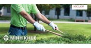 Dịch vụ phi tư vấn là gì? Dịch vụ phi tư vấn gồm những gì?