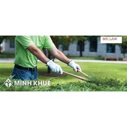 Dịch vụ phi tư vấn là gì? Dịch vụ phi tư vấn gồm những gì?