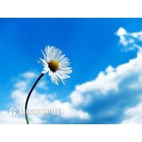 Tù chung thân có được giảm xuống thành tù có thời hạn không? Mẫu đơn xin giảm án phạt tù ?