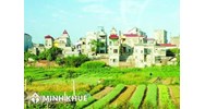 Tư vấn về hạn sử dụng và thừa kế đất nông nghiệp ? Giải quyết tranh chấp thừa kế đất đai ?