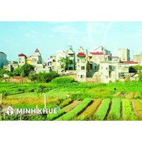 Tư vấn về hạn sử dụng và thừa kế đất nông nghiệp ? Giải quyết tranh chấp thừa kế đất đai ?