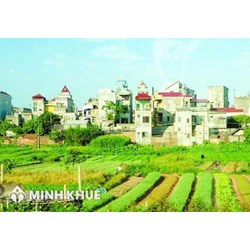 Tư vấn về hạn sử dụng và thừa kế đất nông nghiệp ? Giải quyết tranh chấp thừa kế đất đai ?