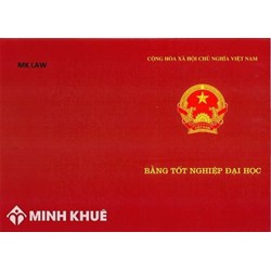 Sử dụng bằng đại học giả bị xử phạt như thế nào? Làm giả bằng cấp phạm tội gì?