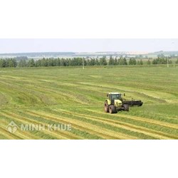 Tư vấn về cho thuê lại đất nông nghiệp ?