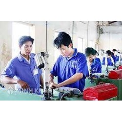Tư vấn chính sách hỗ trợ học nghề cho người lao động ?