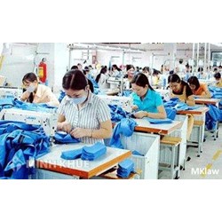 Tư vấn về bảo vệ quyền lợi người lao động ?