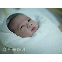 Bố mẹ đẻ có được đòi lại con khi đã cho làm con nuôi hay không ? Đăng ký nhận con nuôi thế nào ?