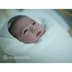 Bố mẹ đẻ có được đòi lại con khi đã cho làm con nuôi hay không ? Đăng ký nhận con nuôi thế nào ?