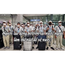 Người lao động bỏ trốn tại nước ngoài làm thế nào để về nước ?