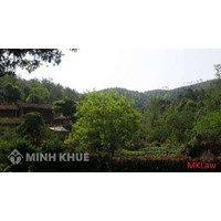 Pháp luật quy định về mức giá thuê đất đồi núi để trồng cây như thế nào ?