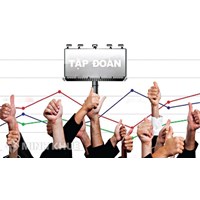 Công ty mẹ có chịu trách nhiệm liên đới khi Công ty con giải thể, phá sản không?